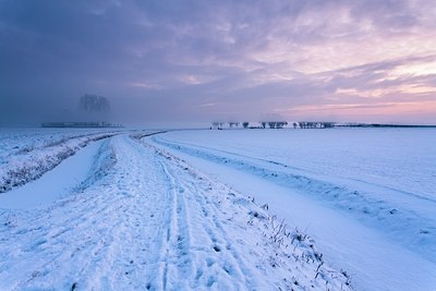 BUITEN BEELD Foto: 156910