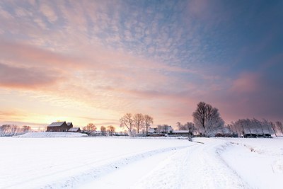 BUITEN BEELD Foto: 156912