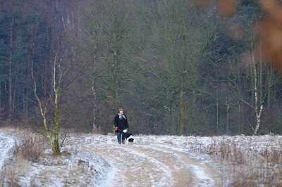 BUITEN BEELD Foto: 156916