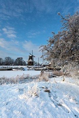 BUITEN BEELD Foto: 156929