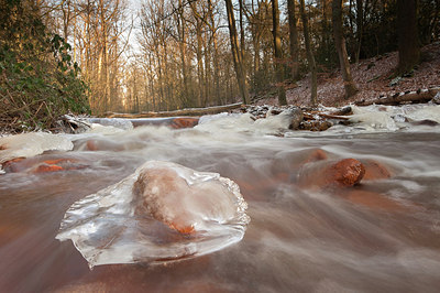 BUITEN BEELD Foto: 156973