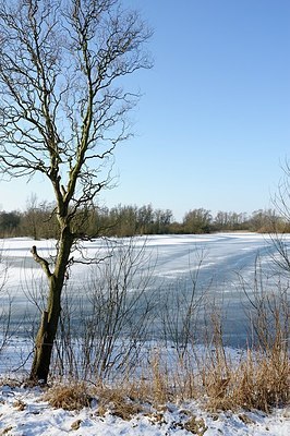 BUITEN BEELD Foto: 156990