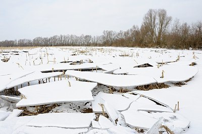 BUITEN BEELD Foto: 156995