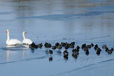 BUITEN BEELD Foto: 157001