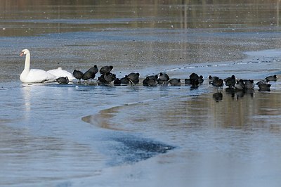 BUITEN BEELD Foto: 157003