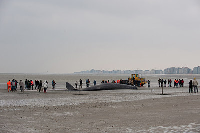 BUITEN BEELD Foto: 157023