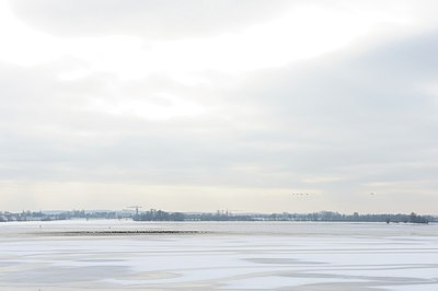BUITEN BEELD Foto: 157033