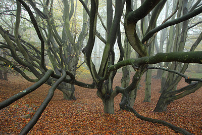 BUITEN BEELD Foto: 157110