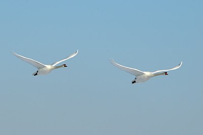 BUITEN BEELD Foto: 157120