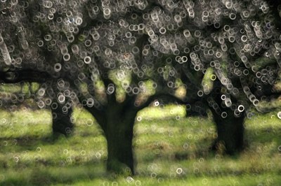 BUITEN BEELD Foto: 157130