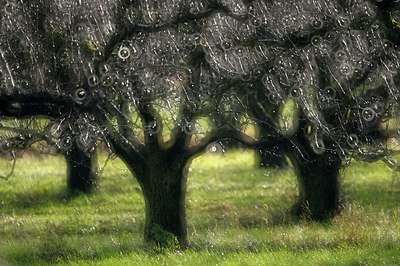 BUITEN BEELD Foto: 157131