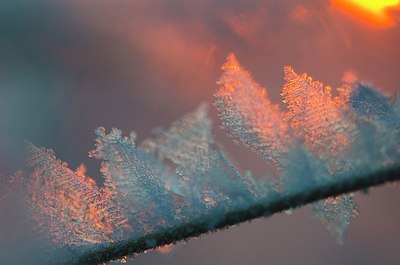 BUITEN BEELD Foto: 157146