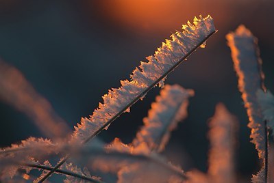 BUITEN BEELD Foto: 157152