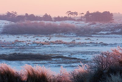 BUITEN BEELD Foto: 157186