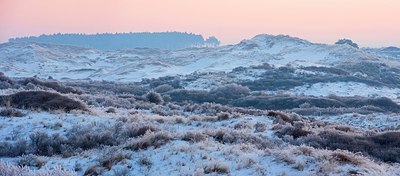 BUITEN BEELD Foto: 157187