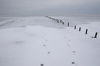 BUITEN BEELD Foto: 157239
