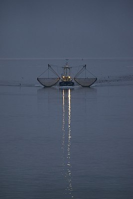 BUITEN BEELD Foto: 157295