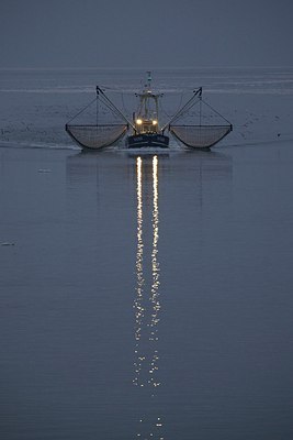 BUITEN BEELD Foto: 157296