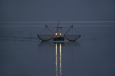 BUITEN BEELD Foto: 157297