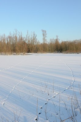 BUITEN BEELD Foto: 157335