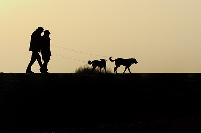 BUITEN BEELD Foto: 157341