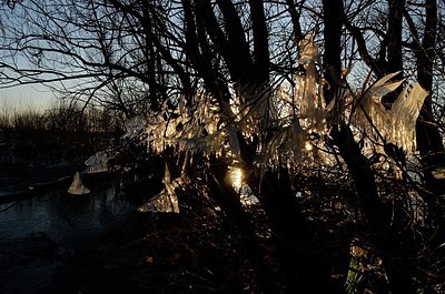 BUITEN BEELD Foto: 157353