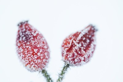 BUITEN BEELD Foto: 157364