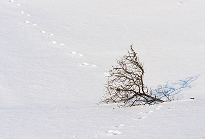 BUITEN BEELD Foto: 157368