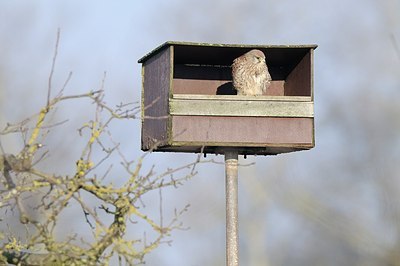BUITEN BEELD Foto: 157413