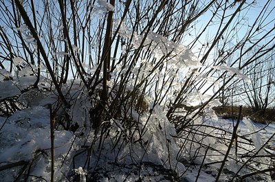 BUITEN BEELD Foto: 157424