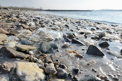 BUITEN BEELD Foto: 157435