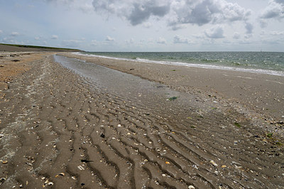 BUITEN BEELD Foto: 157513