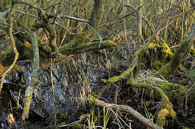 BUITEN BEELD Foto: 157522