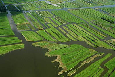 BUITEN BEELD Foto: 157553
