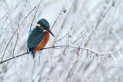 BUITEN BEELD Foto: 157558