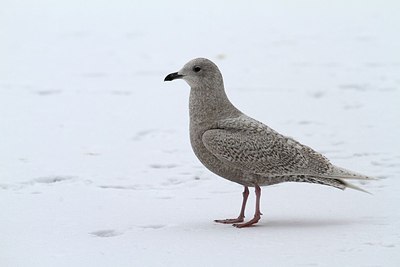 BUITEN BEELD Foto: 157560