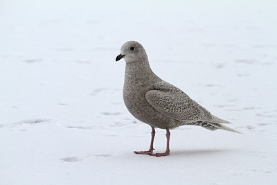 BUITEN BEELD Foto: 157561