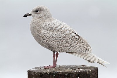 BUITEN BEELD Foto: 157563