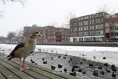 BUITEN BEELD Foto: 157565