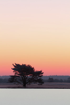 BUITEN BEELD Foto: 157611