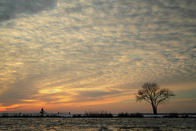 BUITEN BEELD Foto: 157612