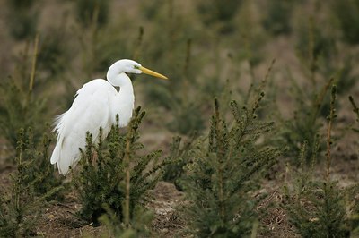 BUITEN BEELD Foto: 157624