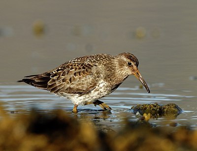 BUITEN BEELD Foto: 157670