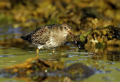 BUITEN BEELD Foto: 157673