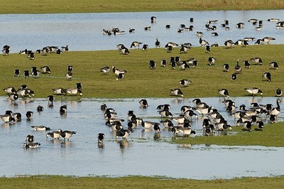 BUITEN BEELD Foto: 157679