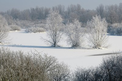 BUITEN BEELD Foto: 157698
