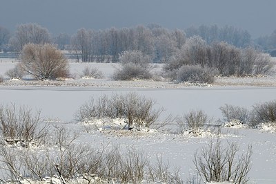 BUITEN BEELD Foto: 157701