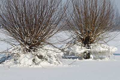 BUITEN BEELD Foto: 157708