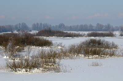 BUITEN BEELD Foto: 157711