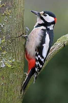BUITEN BEELD Foto: 157713